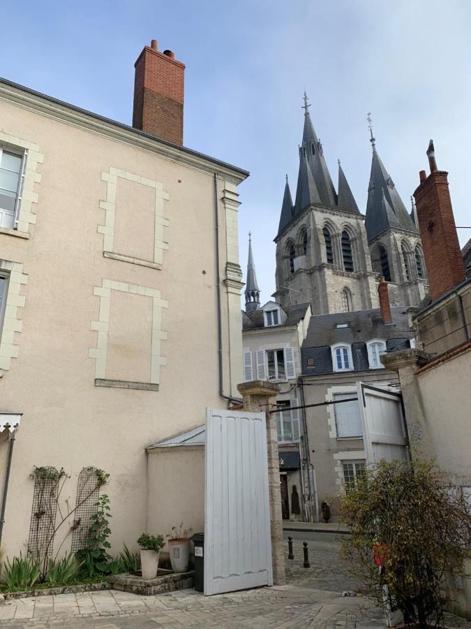 T2 - Au Calme Royaloire - Chateau A Vue - Luxe, Renove ブロワ エクステリア 写真